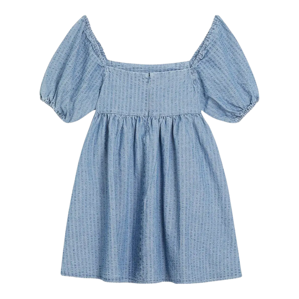 Levi's Sage Denim Dress