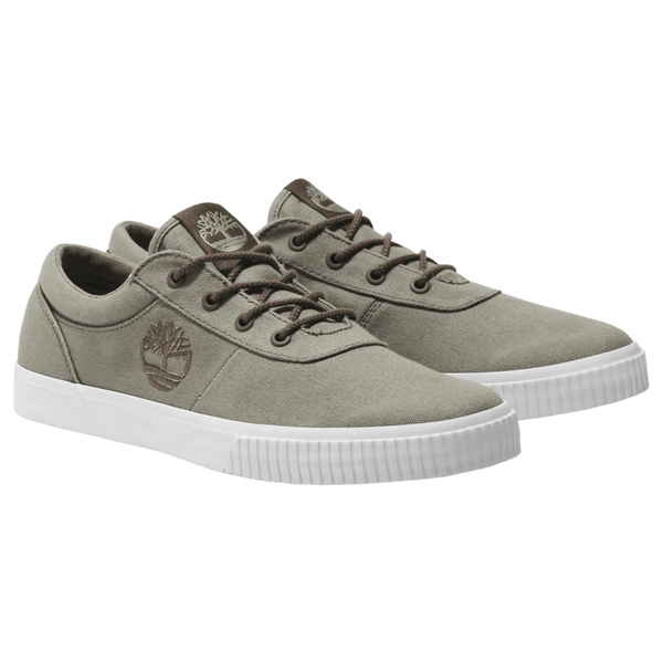 Timberland Mylo Bay Canvas Shoes for Men