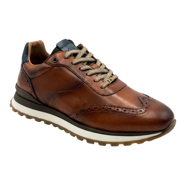 Ambitious Park Shoe