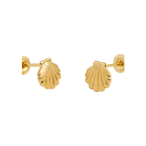 Estella Bartlett Puffy Seashell Stud Earrings