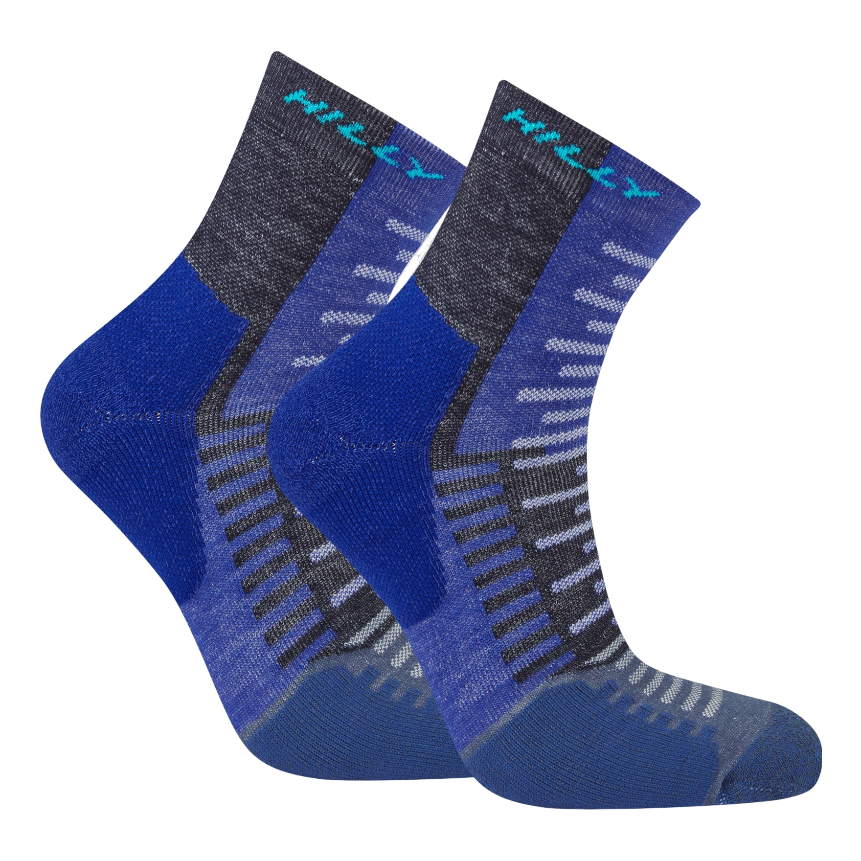 Hilly Active Anklet Socks Coes