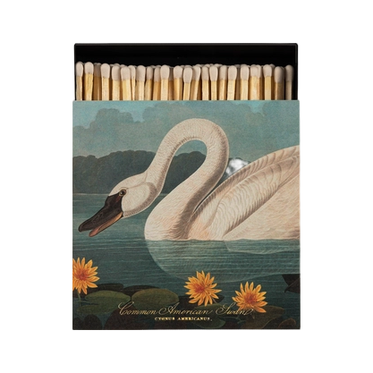 Archivist Square Matchbox