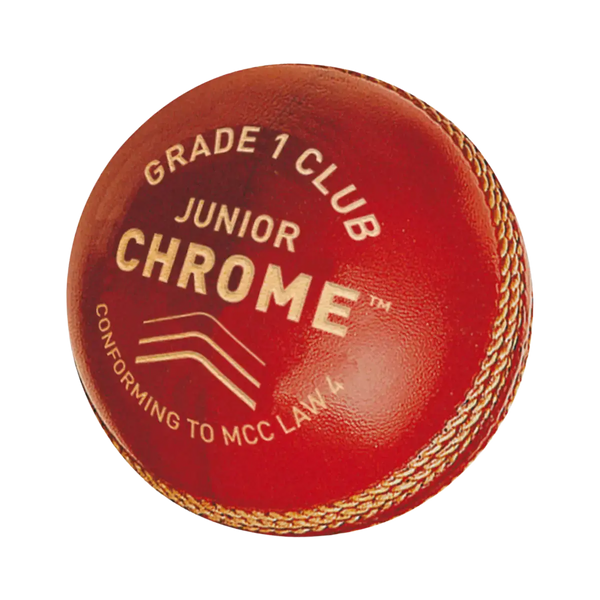 Gunn & Moore Chrome Cricket Ball