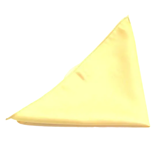 Van Buck Pocket Square