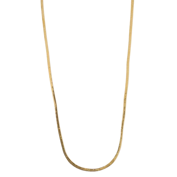 Orelia Jewellery Flat Snake Chain Necklace 15"