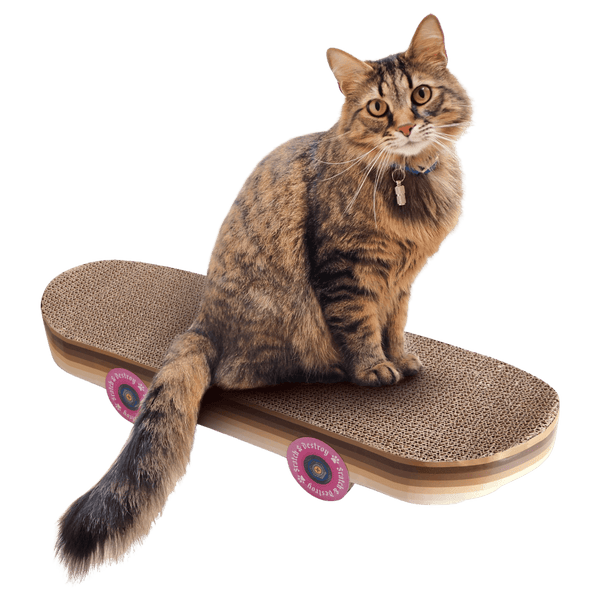 Suck UK Skateboard Cat Scratcher