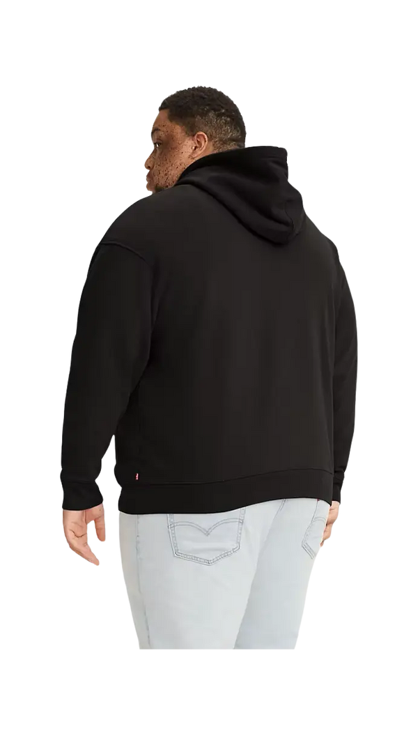 Levi's Relaxed Graphic Poster Hoodie