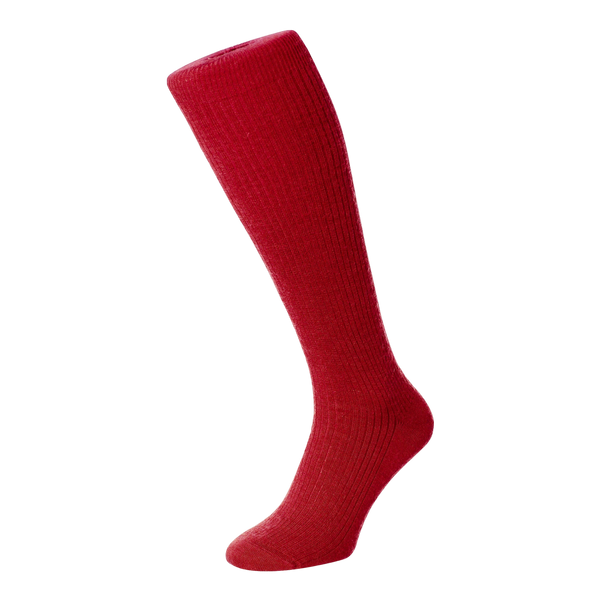 HJ Hall HJ77 Immaculate Socks