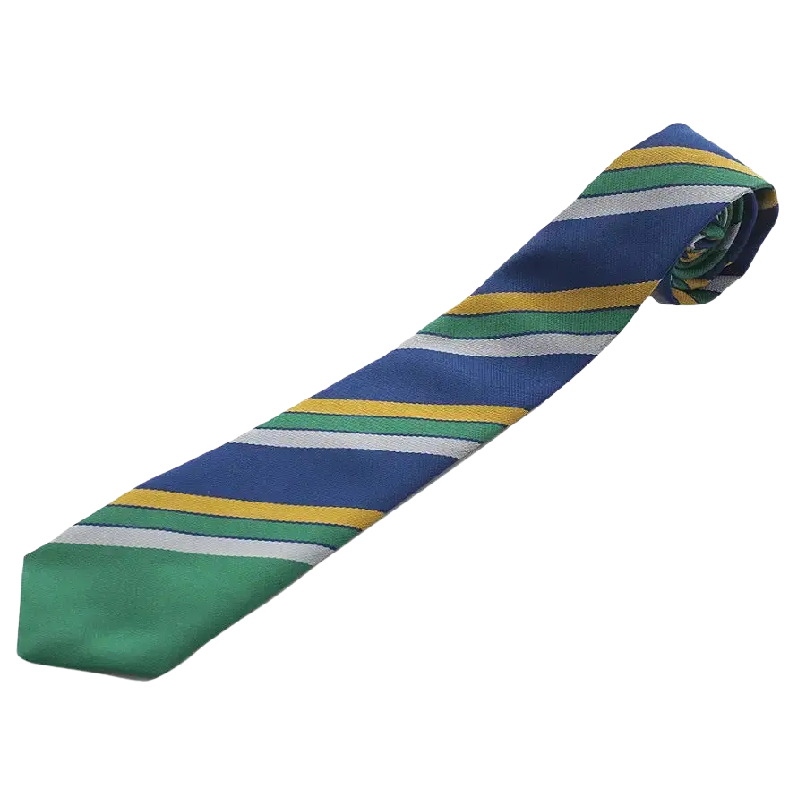 CP&HS House Colours Tie