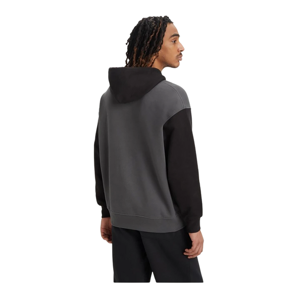 Levi's Relaxed Graphic Colourblock Hoodie for Men