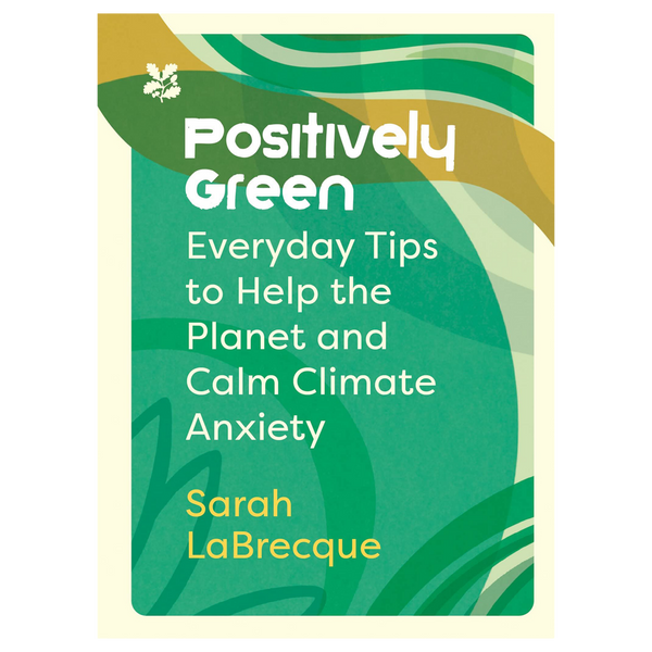 Positively Green: Everyday Tips To Help The Planet by Sarah LaBrecque
