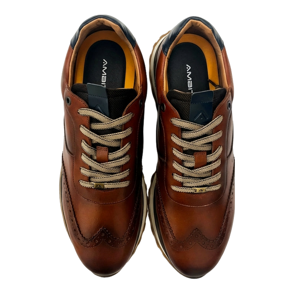 Ambitious Park Shoe