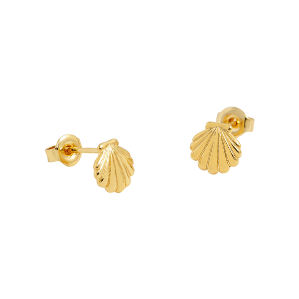 Estella Bartlett Puffy Seashell Stud Earrings