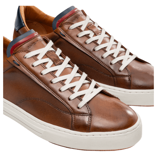Ambitious Anopolis Leather Trainers for Men
