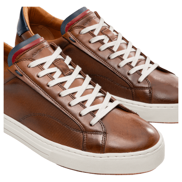 Ambitious Anopolis Leather Trainers