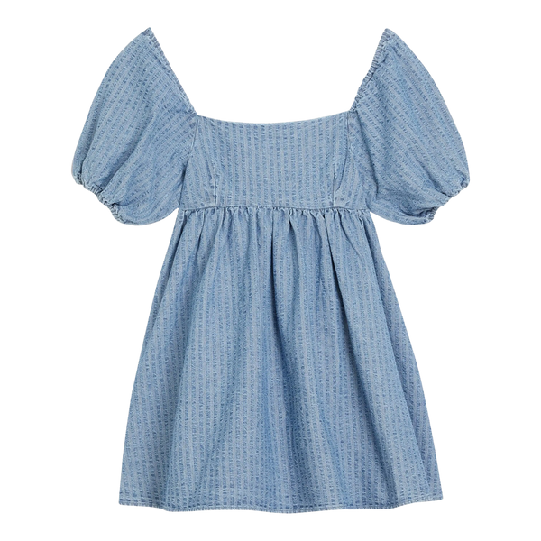 Levi's Sage Denim Dress