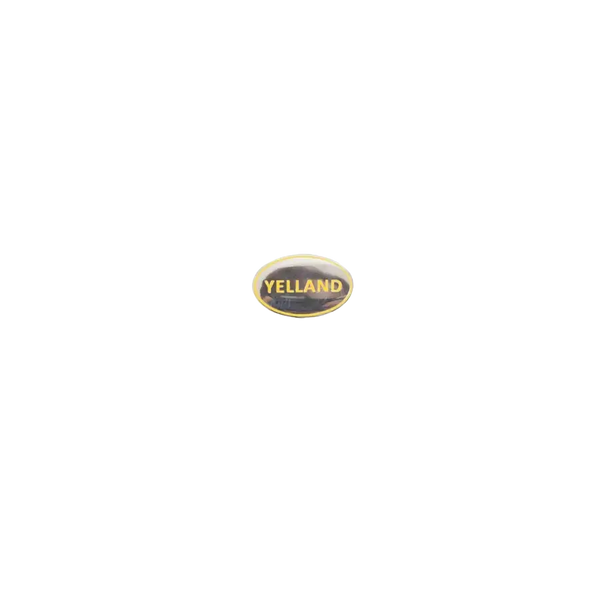 Ipswich Prep House Lapel Pin