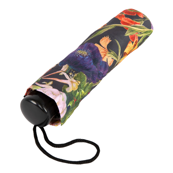 Powder Umbrella