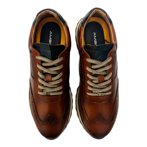 Ambitious Park Shoe
