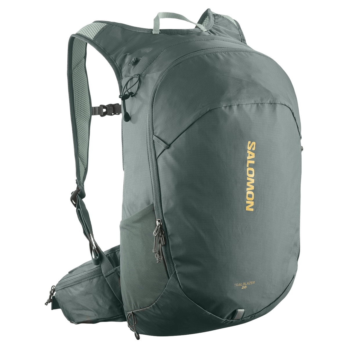 Salomon back pack sale
