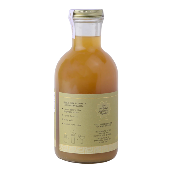 Here's How Margarita Mixer 500ml