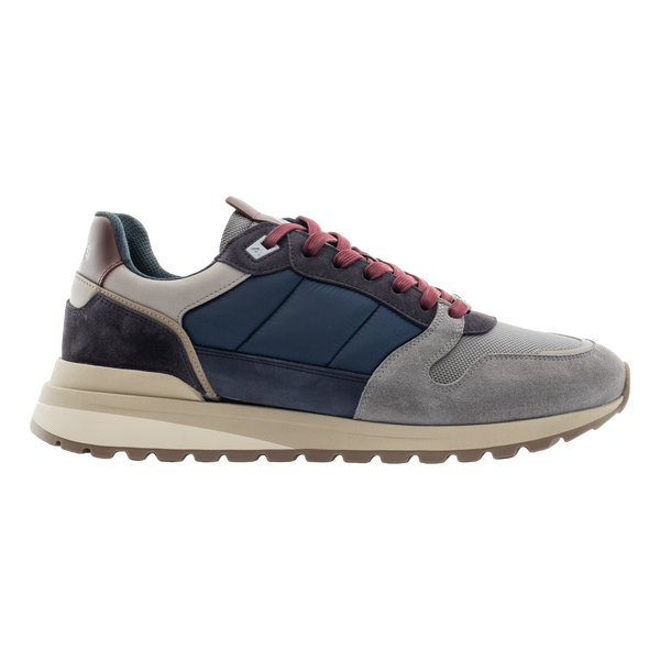 Ambitious Teddy Trainers