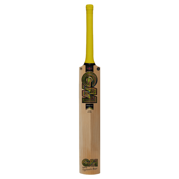 Gunn & Moore Psyche 808 Delta Cricket Bat