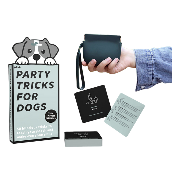 Pikkii Party Tricks For Dogs