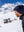 imagepopulate1