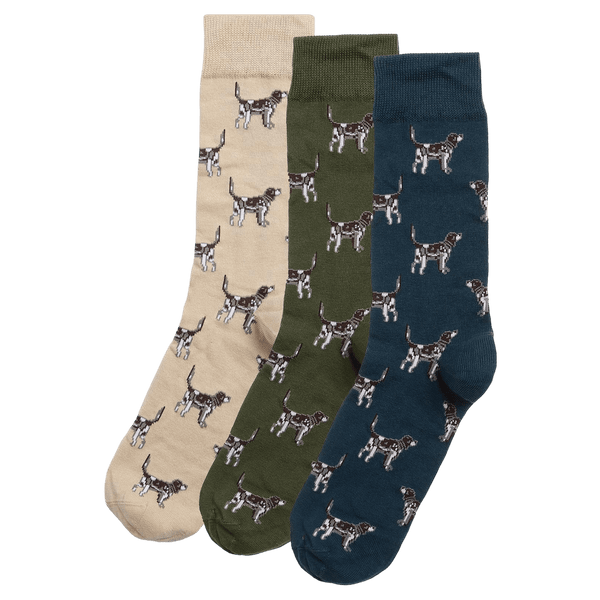 Barbour Pointer Dog Socks Gift Box