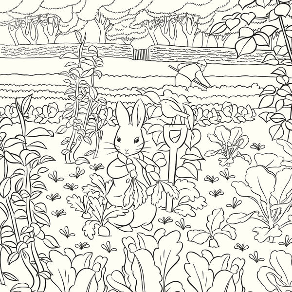 imagepopulate1