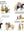 imagepopulate1