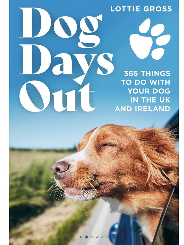 Dog Days Out Uk And Ireland