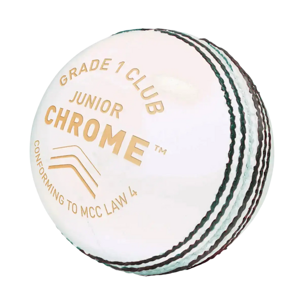 Gunn & Moore Chrome Cricket Ball