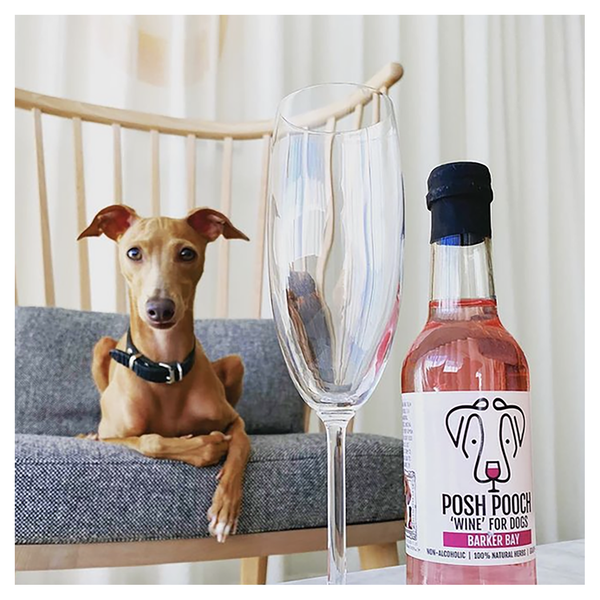 Woof & Brew Posh Pooch Rose Dog Wine Duo Pack
