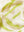 Katie Loxton Palm Leaf Foil Printed Scarf