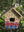imagepopulate1
