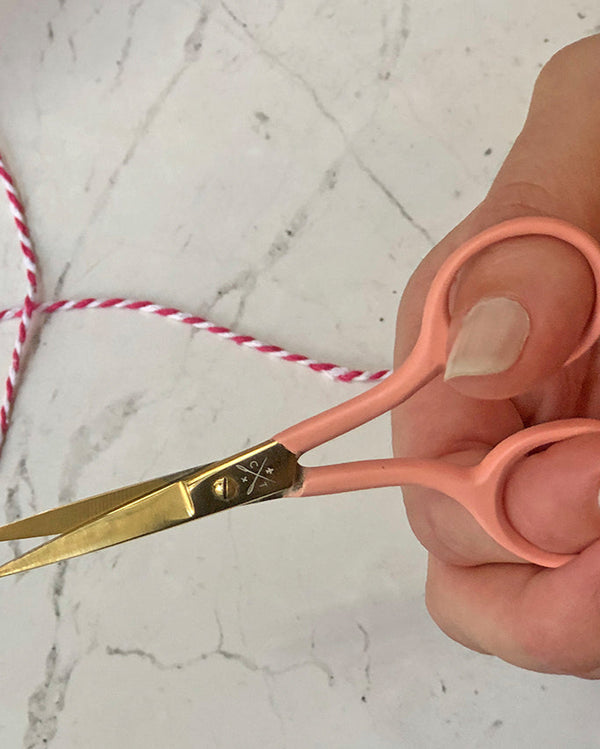 Chasing Threads Ct Embroidery Scissors