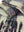 imagepopulate1