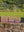 imagepopulate1