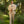 Windsor Suit