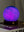 Gingko AstraGlass Light Mini