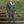 Green Windsor Suit