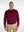 Franco Ponti Crew Neck Pullover in Deep Red