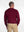 Franco Ponti Crew Neck Pullover in Deep Red
