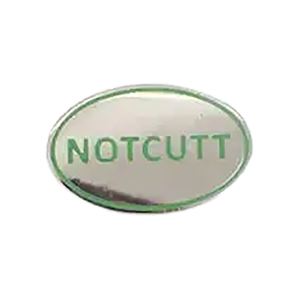 Ipswich Prep House Lapel Pin