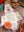 Chicken Shawarma Recipe Kit