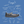 Leya School Shoe