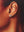 Attic Creations Written In The Stars Colour Crystal Heart Earrings