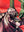 imagepopulate1